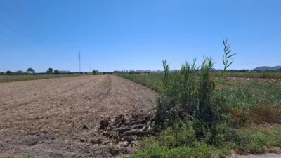  Land in Guardamar del Segura, Spain No. 213457
