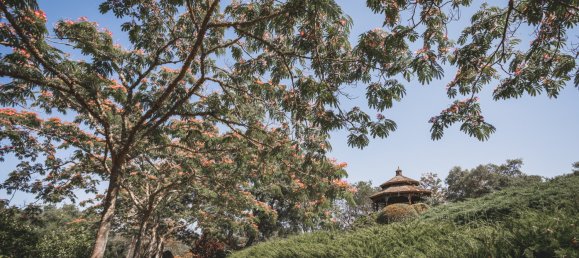 10 غرف نوم منزل في Sotogrande, Spain رقم 3015 22