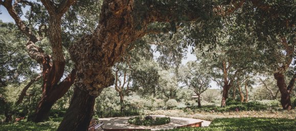 10 غرف نوم منزل في Sotogrande, Spain رقم 3015 19