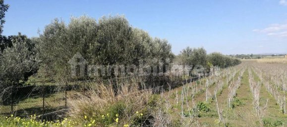 4 bedrooms Villa in Noto, Italy No. 66579 4