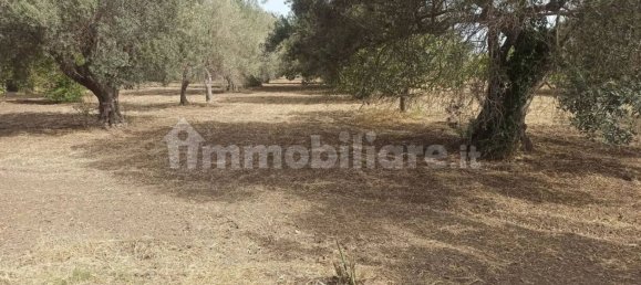 4 bedrooms Villa in Noto, Italy No. 66579 13