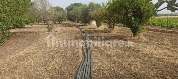 4 bedrooms Villa in Noto, Italy No. 66579 38