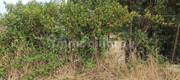 4 bedrooms Villa in Noto, Italy No. 66579 42