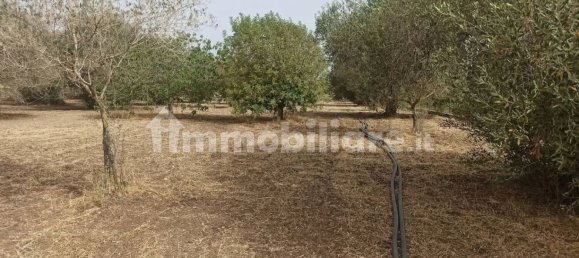 4 bedrooms Villa in Noto, Italy No. 66579 40