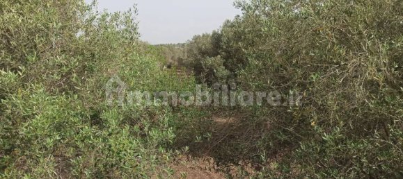 4 bedrooms Villa in Noto, Italy No. 66579 17