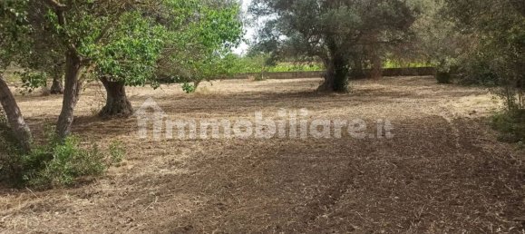 4 bedrooms Villa in Noto, Italy No. 66579 35