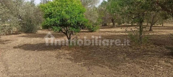 4 bedrooms Villa in Noto, Italy No. 66579 36