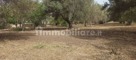 4 bedrooms Villa in Noto, Italy No. 66579 15
