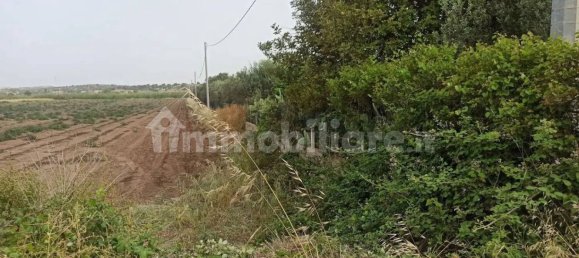 4 bedrooms Villa in Noto, Italy No. 66579 44