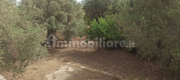 4 bedrooms Villa in Noto, Italy No. 66579 21