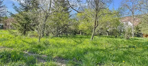 748m² Land in Mutzig, France No. 153213 5