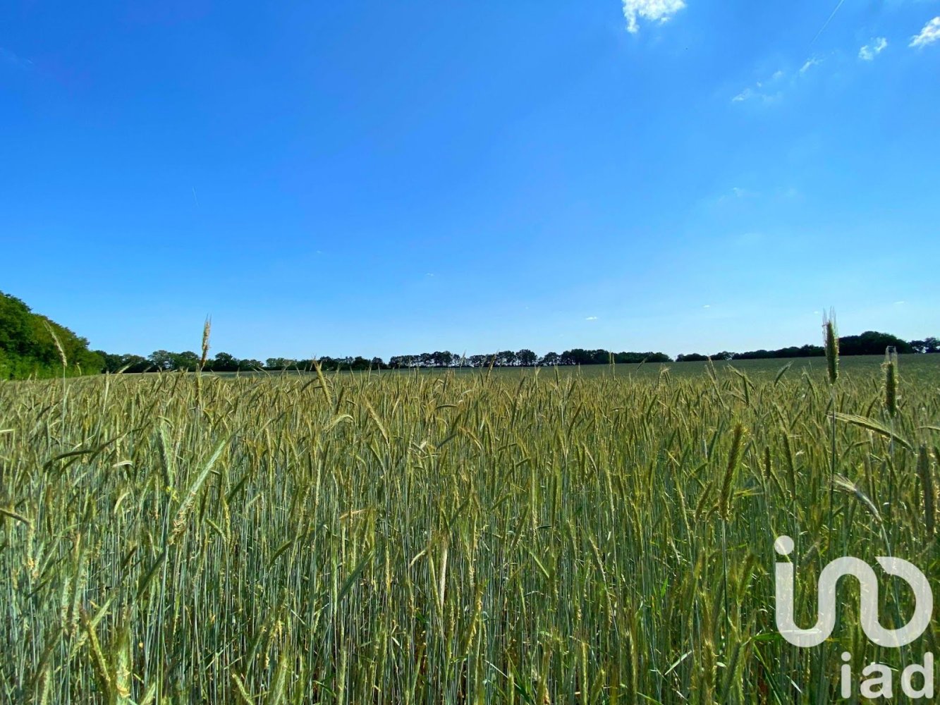 525629m² Land in Saint-Martin-l'Ars, France No. 107686