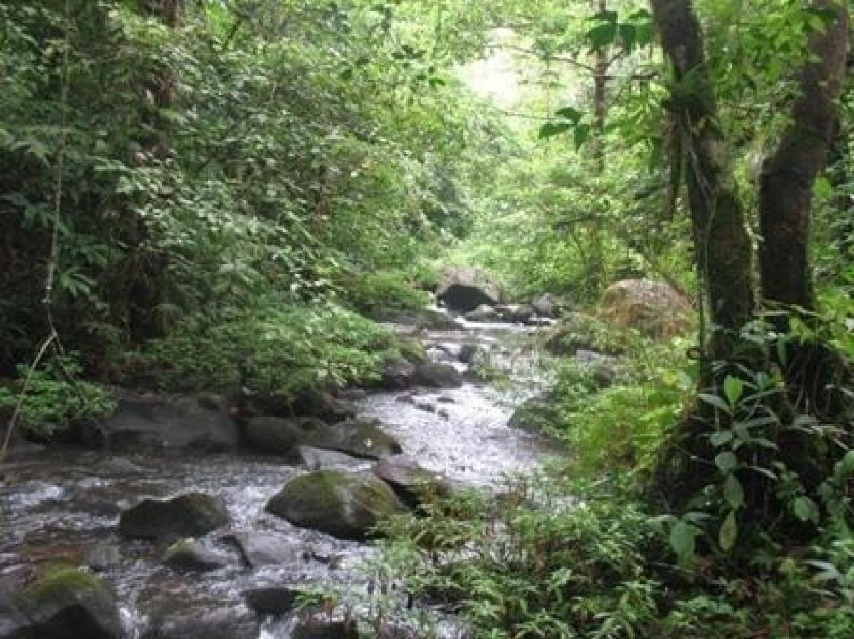 Terra em Tilaran, Costa Rica N.º 1837