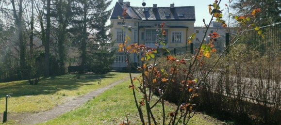  Land in Bad Voslau, Austria No. 137583 3