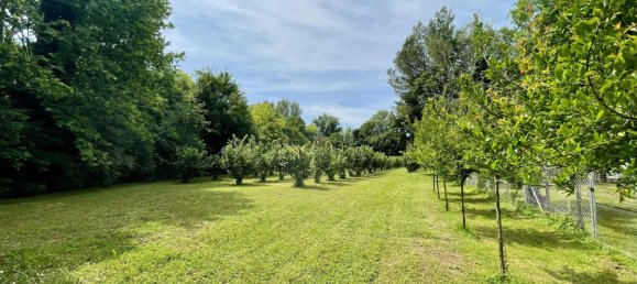 7800m² Land in Chiarano, Italy No. 271372 12