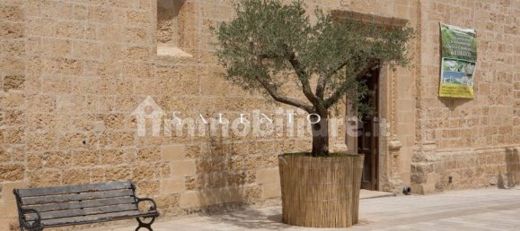 4 Schlafzimmer Villa in Morciano di Leuca, Italy, Nr. 262069 28