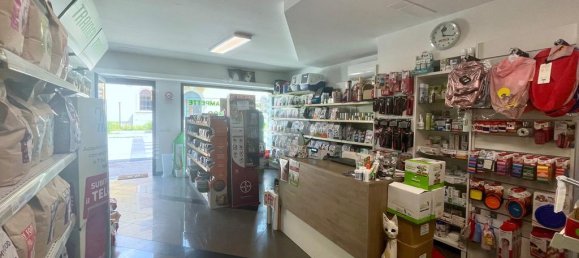 2 rooms Commercial property in Udine, Italy No. 271777 5