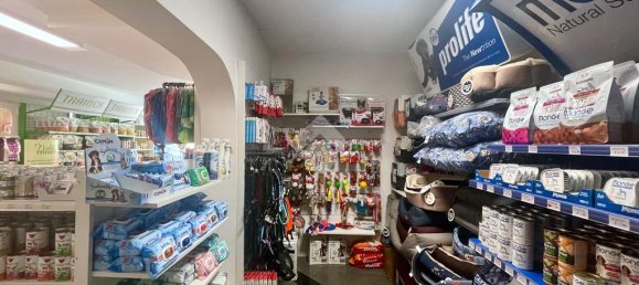 2 rooms Commercial property in Udine, Italy No. 271777 6