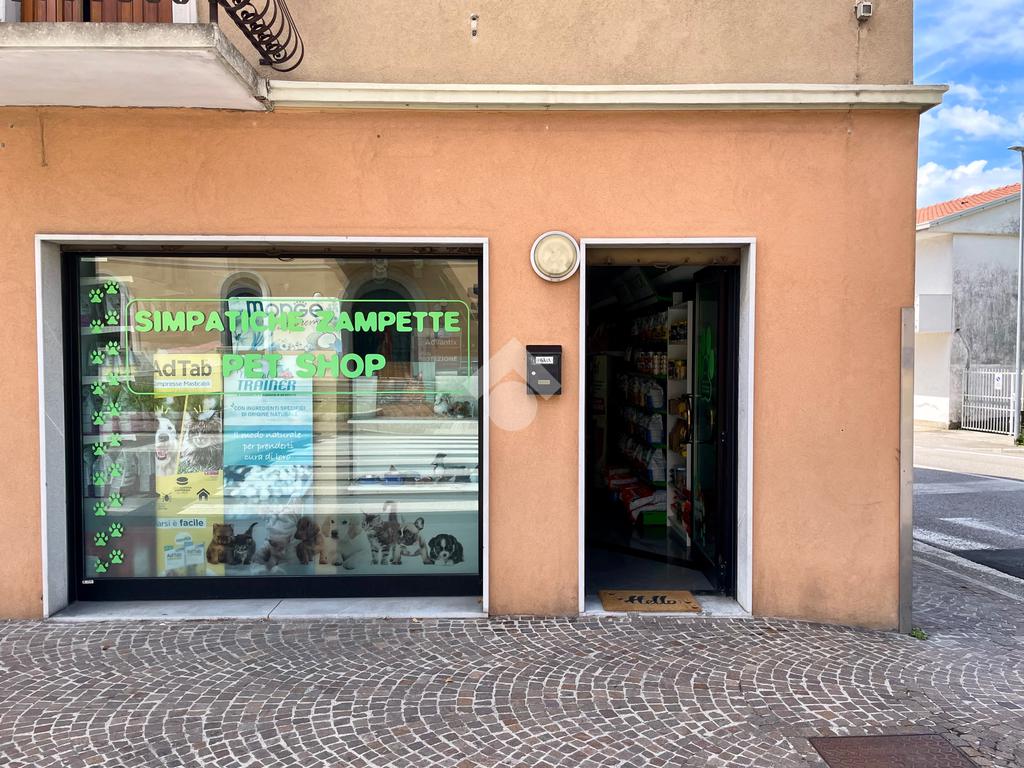 2 rooms Commercial property in Udine, Italy No. 271777