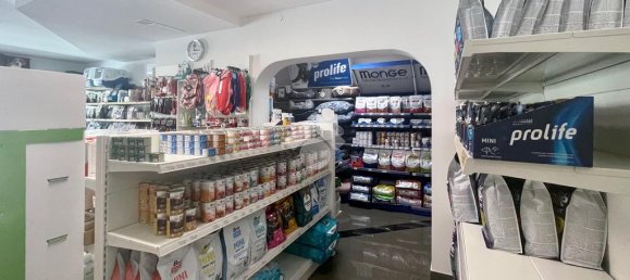 2 rooms Commercial property in Udine, Italy No. 271777 4