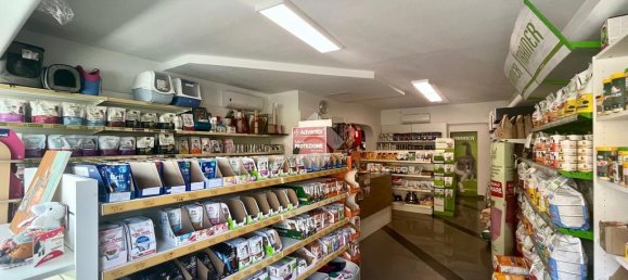 2 rooms Commercial property in Udine, Italy No. 271777 3