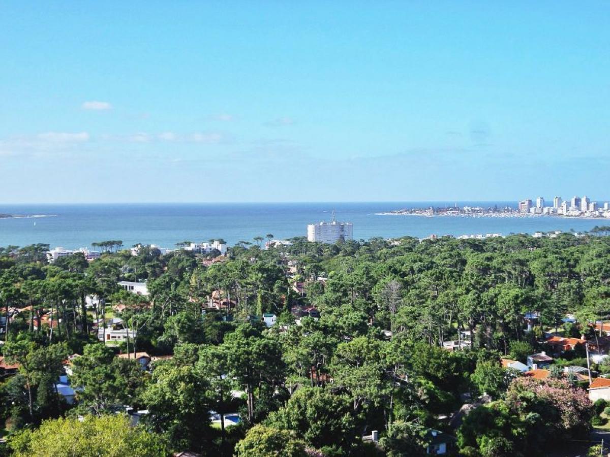 Studio in Maldonado, Uruguay No. 6711