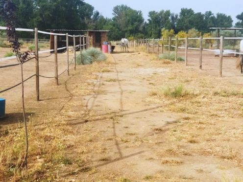 Земельный участок 26000м² в Вальдеторрес-де-Харама, Испания № 182378