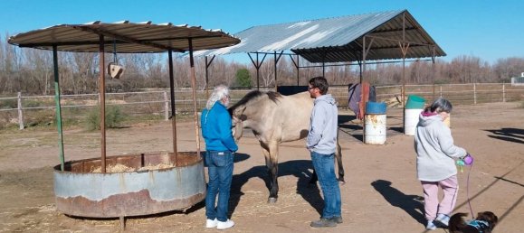 Земельный участок 26000м² в Вальдеторрес-де-Харама, Испания № 182378 5