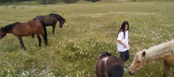 Земельный участок 26000м² в Вальдеторрес-де-Харама, Испания № 182378 2