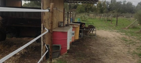 Земельный участок 26000м² в Вальдеторрес-де-Харама, Испания № 182378 12