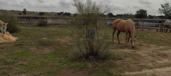 Земельный участок 26000м² в Вальдеторрес-де-Харама, Испания № 182378 9