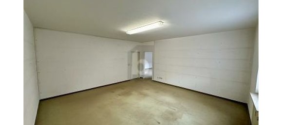 Коммерческая недвижимость с 8 комнатами в Ортенау, Германия № 234835 4