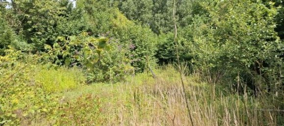 2 غرف نوم فيلا في Conchy-sur-Canche, France رقم 309157 18