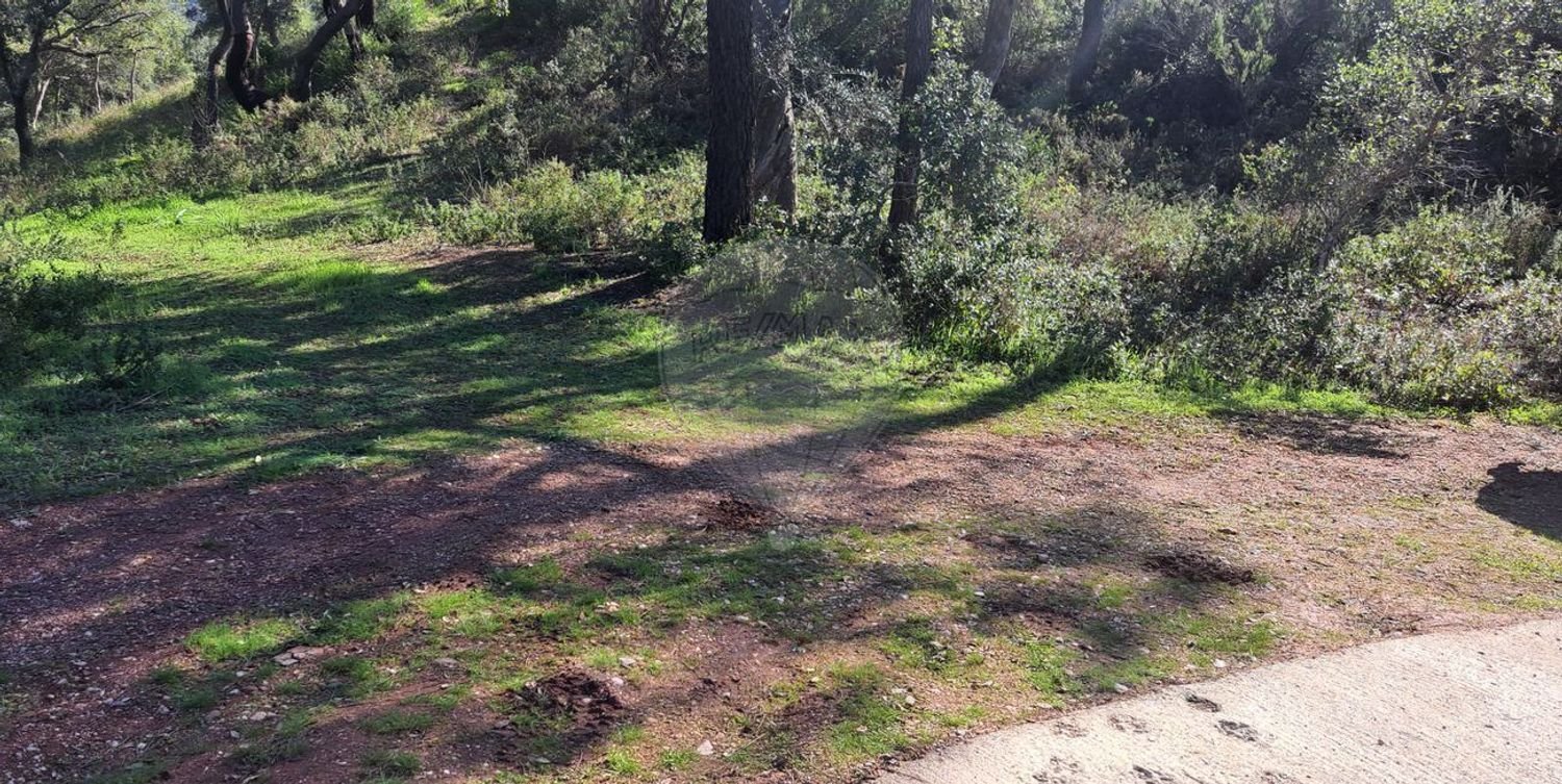  قطعة أرض في Alte, Portugal رقم 239887