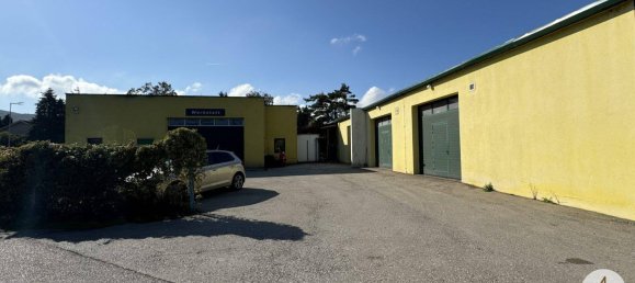Commercial property in Zeiselmauer-Wolfpassing, Austria No. 13966 2