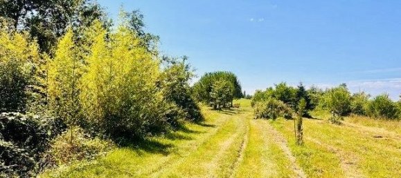 5 bedrooms House in L'Isle-en-Dodon, France No. 338346 17