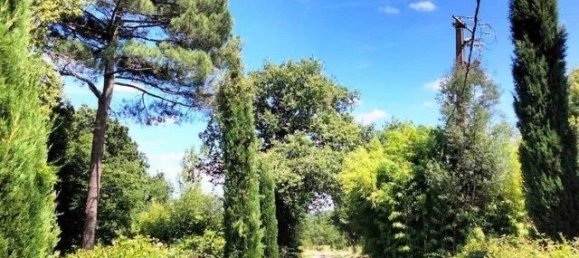 5 bedrooms House in L'Isle-en-Dodon, France No. 338346 19