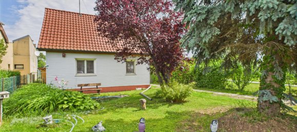 1 Schlafzimmer Haus in Gänserndorf, Austria, Nr. 129512 2