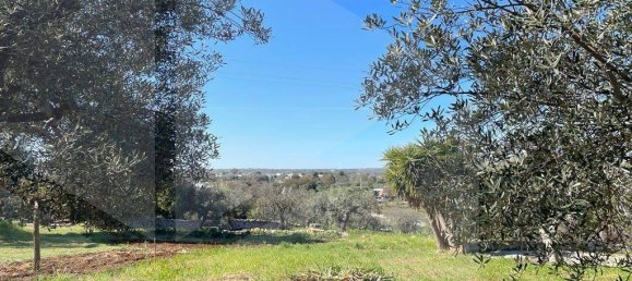 Вилла с 3 комнатами в Монополи, Италия № 21702 66