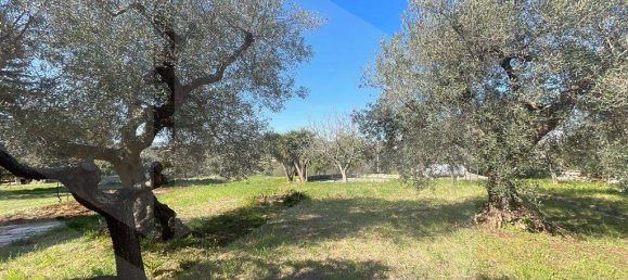 Вилла с 3 комнатами в Монополи, Италия № 21702 62