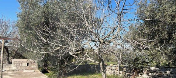 Вилла с 3 комнатами в Монополи, Италия № 21702 71