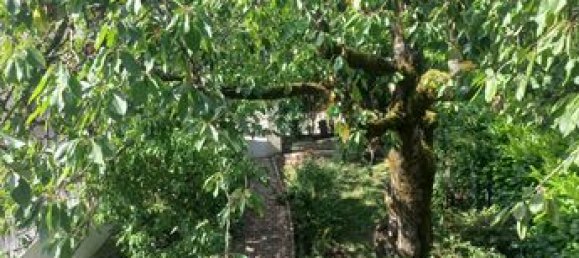 5 rooms House in Chagny, France No. 353578 13