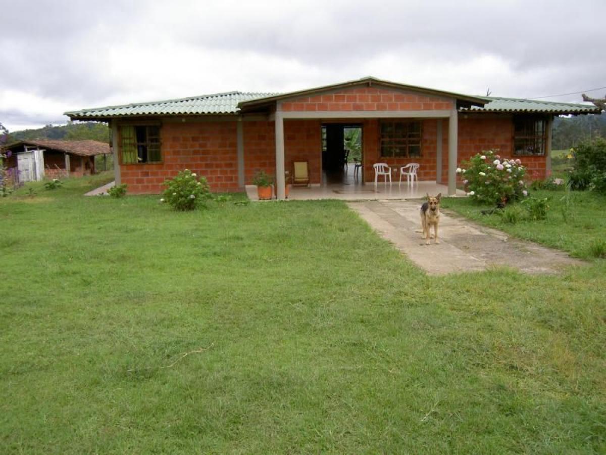 4 bedrooms House in Valle del Cauca, Colombia No. 7762