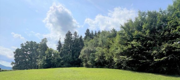 Grundstück in Altmünster, Austria, Nr. 166893 3