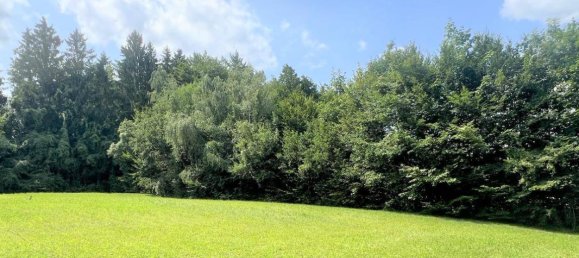 Grundstück in Altmünster, Austria, Nr. 166893 2