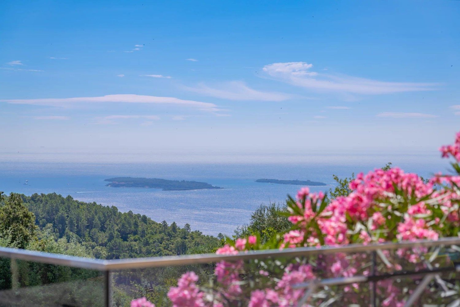 4 غرف نوم فيلا في Mandelieu-la-Napoule, France رقم 294685