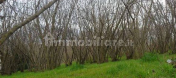 1 bedroom Apartment in Avellino, Italy No. 296839 6