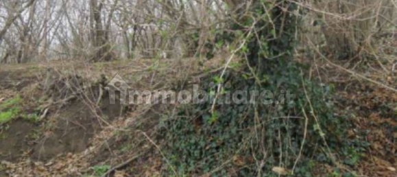 1 bedroom Apartment in Avellino, Italy No. 296839 3