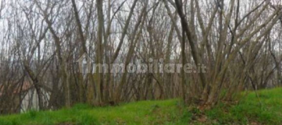 1 bedroom Apartment in Avellino, Italy No. 296839 7