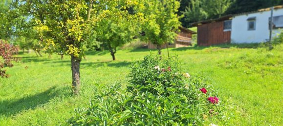 2 bedrooms Bungalow in Traismauer, Austria No. 168024 5